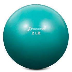 Toning Ball (Option: 2 lb)